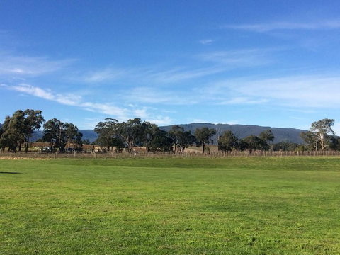 Yarra Valley Wineries And Puffing Billy Steam Train Tour From Melbourne - Accommodation Nelson Bay 17