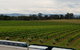 Yarra Valley Wineries And Puffing Billy Steam Train Tour From Melbourne - thumb 4