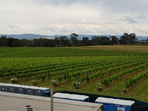 Yarra Valley Wineries And Puffing Billy Steam Train Tour From Melbourne - Accommodation Nelson Bay 4