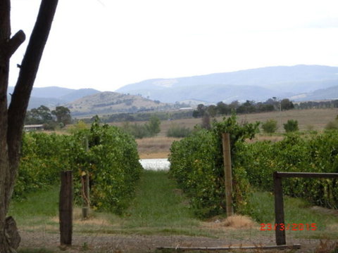 Yarra Valley Wineries And Puffing Billy Steam Train Tour From Melbourne - Accommodation Nelson Bay 25