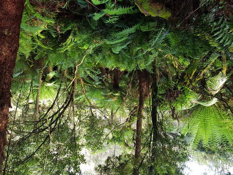 Yarra Valley Wineries And Puffing Billy Steam Train Tour From Melbourne - Accommodation Nelson Bay 6