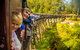Yarra Valley Wineries And Puffing Billy Steam Train Tour From Melbourne - thumb 1