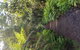 Yarra Valley Wineries And Puffing Billy Steam Train Tour From Melbourne - thumb 8