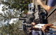 Yarra Valley Wineries And Puffing Billy Steam Train Tour From Melbourne - thumb 5
