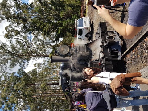 Yarra Valley Wineries And Puffing Billy Steam Train Tour From Melbourne - Accommodation Nelson Bay 5