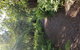 Yarra Valley Wineries And Puffing Billy Steam Train Tour From Melbourne - thumb 9