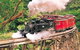 Yarra Valley Wineries And Puffing Billy Steam Train Tour From Melbourne - thumb 33
