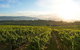 Yarra Valley Unique Experience - thumb 3