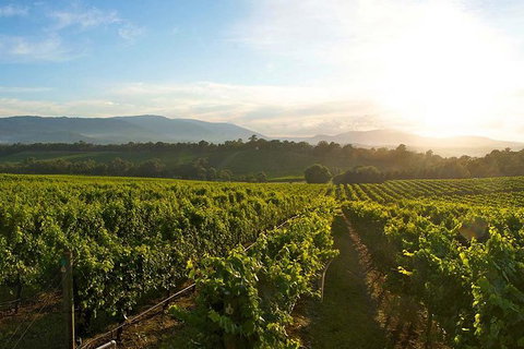 Yarra Valley Unique Experience - Accommodation Nelson Bay 3