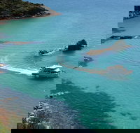 Cape Woolamai Sightseeing Cruise from San Remo - Accommodation Nelson Bay