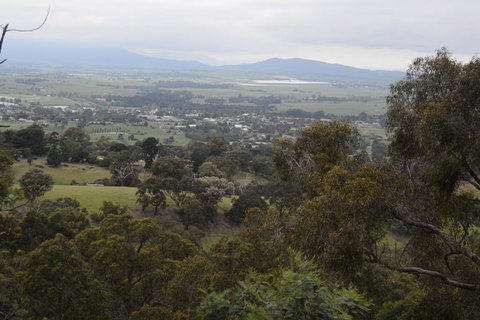 Yarra Valley Wine & Food Day Tour From Melbourne With Lunch At Yering Station - Accommodation Nelson Bay 2