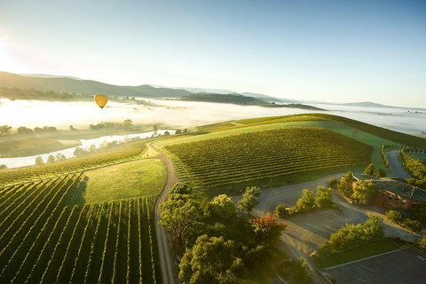 Yarra Valley Wine & Food Day Tour From Melbourne With Lunch At Yering Station - Accommodation Nelson Bay 10