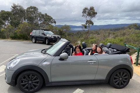 Yarra Valley Winery Tour In A Luxury Vehicle - Accommodation Nelson Bay 5