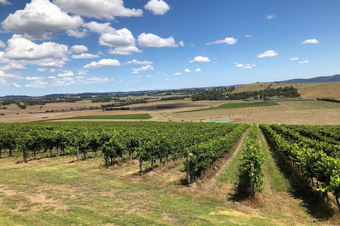 Yarra Valley - Day Tour - Accommodation Nelson Bay 0