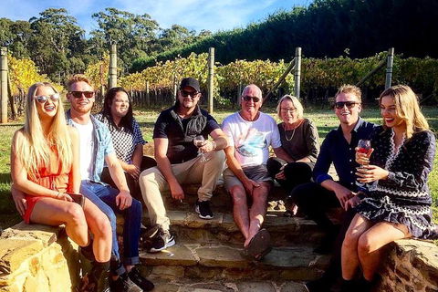 5 Hour Private Wine Tour - Accommodation Nelson Bay 5