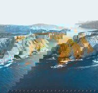 3-Hour Tasman Peninsula Wilderness Cruise from Port Arthur - Accommodation Nelson Bay