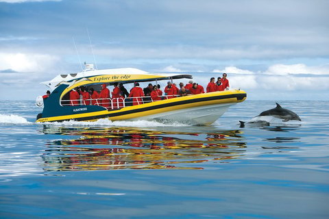 3-Hour Tasman Peninsula Wilderness Cruise From Port Arthur - Accommodation Nelson Bay 5