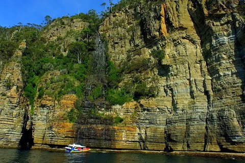 3-Hour Tasman Peninsula Wilderness Cruise From Port Arthur - Accommodation Nelson Bay 7