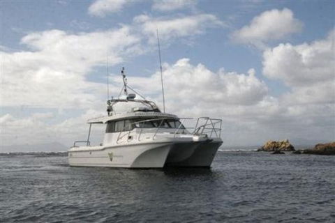 Bonnet Island Experience Departing From Strahan - Accommodation Nelson Bay 1
