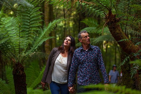 West Coast Wilderness Railway: River And Rainforest From Strahan - Accommodation Nelson Bay 3