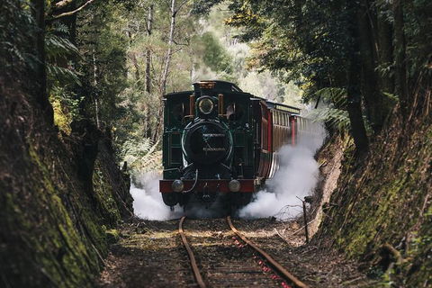 West Coast Wilderness Railway: River And Rainforest From Strahan - Accommodation Nelson Bay 2