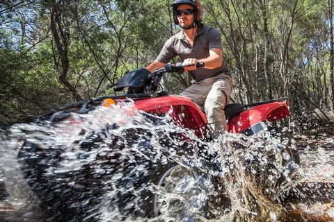 Half-Day Guided ATV Exploration Tour From Coles Bay - Accommodation Nelson Bay 1