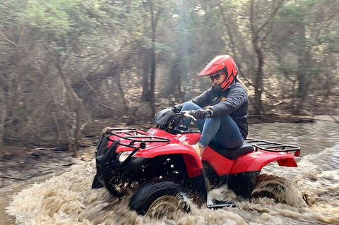 Half-Day Guided ATV Exploration Tour From Coles Bay - Accommodation Nelson Bay 7