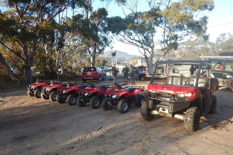 Half-Day Guided ATV Exploration Tour From Coles Bay - Accommodation Nelson Bay 4