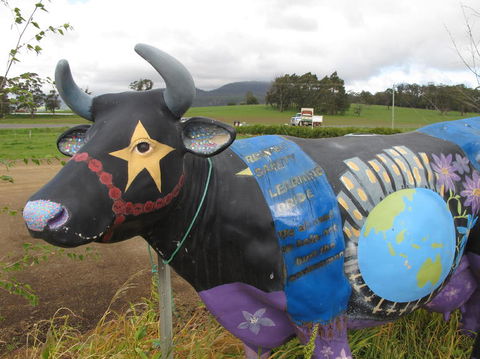 Cradle Mountain National Park Day Tour From Launceston - Accommodation Nelson Bay 18