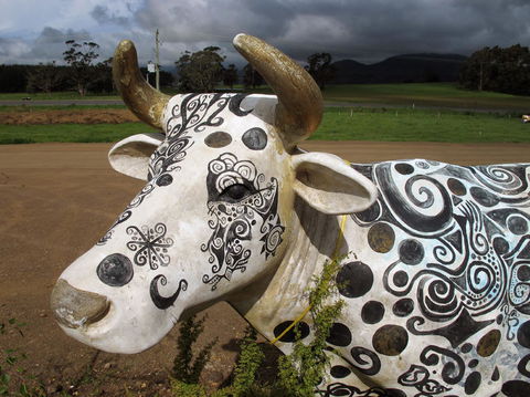 Cradle Mountain National Park Day Tour From Launceston - Accommodation Nelson Bay 19