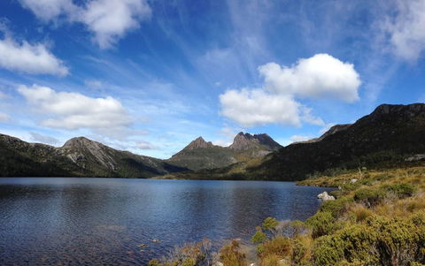 Cradle Mountain National Park Day Tour From Launceston - Accommodation Nelson Bay 12