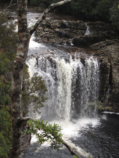 Cradle Mountain National Park Day Tour From Launceston - Accommodation Nelson Bay 3