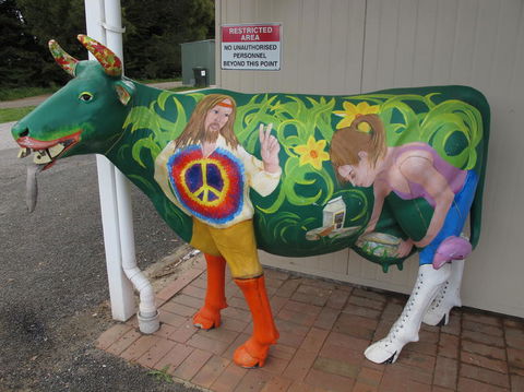 Cradle Mountain National Park Day Tour From Launceston - Accommodation Nelson Bay 4