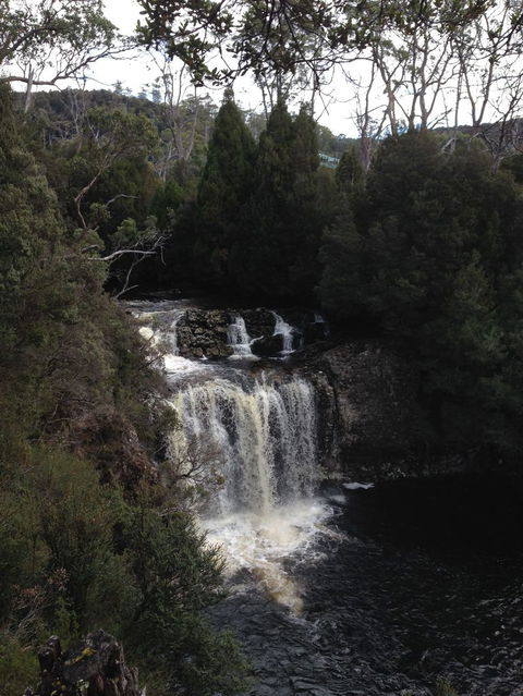 Cradle Mountain National Park Day Tour From Launceston - Accommodation Nelson Bay 5