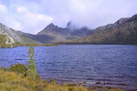 Cradle Mountain National Park Day Tour From Launceston - Accommodation Nelson Bay 21