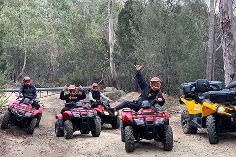 Quad Bike 2-Hour Adventure: Freycinet National Park - Accommodation Nelson Bay 4
