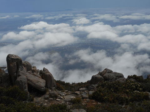 Cruise Ship Special Ex Hobart: Mt Wellington, Richmond, Bonorong With Free WiFi - Accommodation Nelson Bay 15