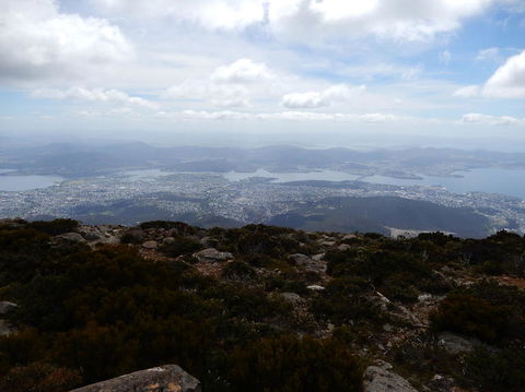 Cruise Ship Special Ex Hobart: Mt Wellington, Richmond, Bonorong With Free WiFi - Accommodation Nelson Bay 10