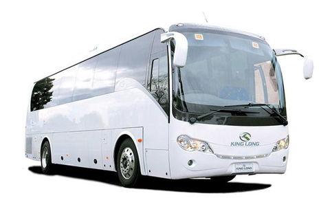 Cruise Ship Special Ex Hobart: Mt Wellington, Richmond, Bonorong With Free WiFi - Accommodation Nelson Bay 19