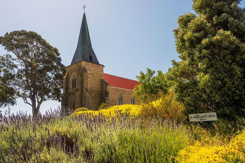 Cruise Ship Special Ex Hobart: Mt Wellington, Richmond, Bonorong With Free WiFi - Accommodation Nelson Bay 18