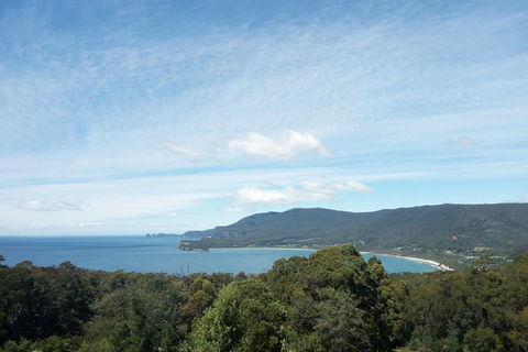 Private Tasman Peninsula Cruise Ship Tour From Port Arthur - Accommodation Nelson Bay 1