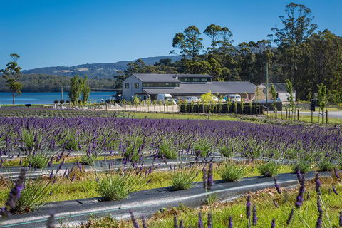 Private Tasman Peninsula Cruise Ship Tour From Port Arthur - Accommodation Nelson Bay 0