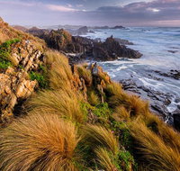 4-Day Tarkine Wilderness Photography Workshop - Accommodation Nelson Bay