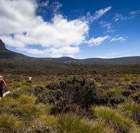 6-Day Overland Track PhotoTour - Accommodation Nelson Bay