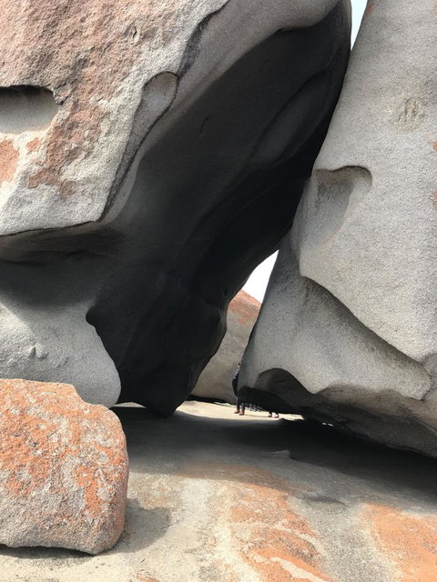 Kangaroo Island In A Day Tour From Adelaide - Accommodation Nelson Bay 7