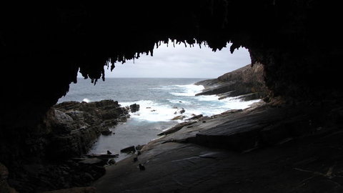 Kangaroo Island In A Day Tour From Adelaide - Accommodation Nelson Bay 20