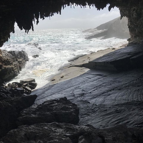 Kangaroo Island In A Day Tour From Adelaide - Accommodation Nelson Bay 5