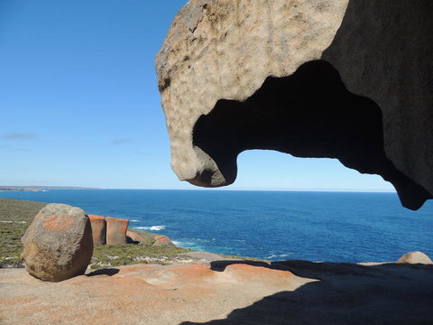 Kangaroo Island In A Day Tour From Adelaide - Accommodation Nelson Bay 13