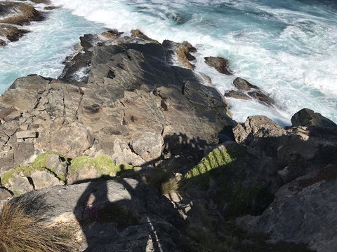 Kangaroo Island In A Day Tour From Adelaide - Accommodation Nelson Bay 3