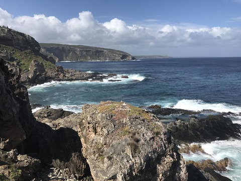 Kangaroo Island In A Day Tour From Adelaide - Accommodation Nelson Bay 4